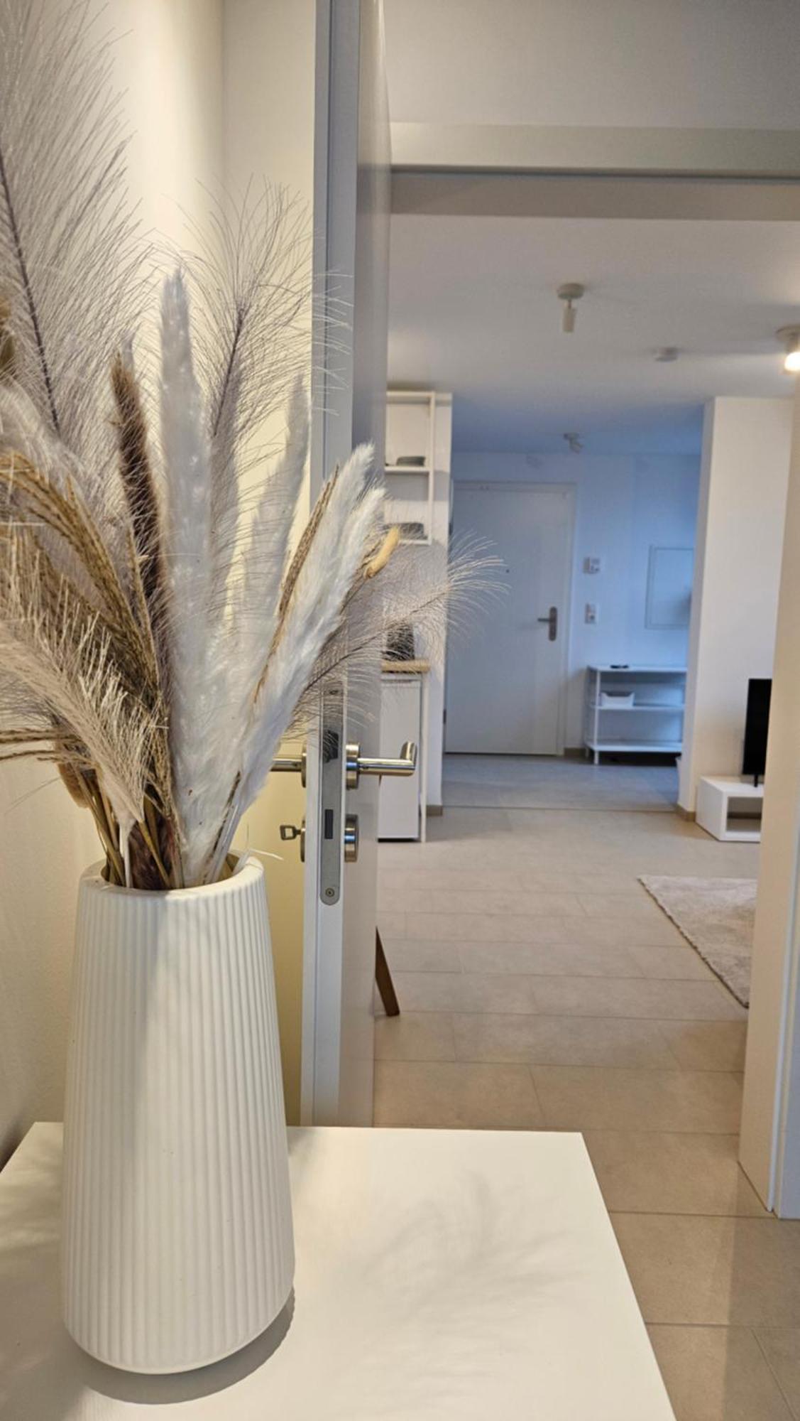 Ferienwohnung As 5 One & Two Bamberg - Modern In Ruhiger Lager Mit Balkon Hallstadt Ngoại thất bức ảnh